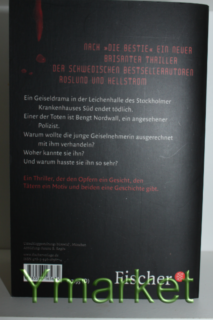 Buch_taschenbuch_blasseengel_hochkant_rückseite.png